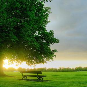 生活在别处的你(钢琴版)