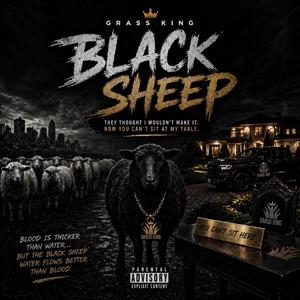 BLACK SHEEP