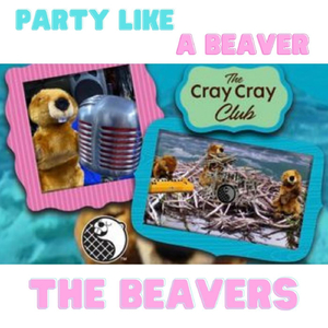 Party Like a Beaver