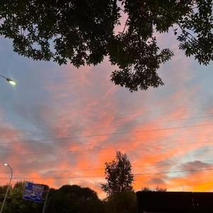 骑着小电驴去海边肆无忌惮的吃冰（Prod by Furyl）