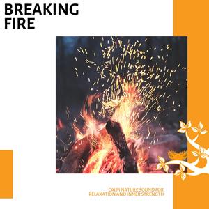 Peaceful Mountains and Crickets Sound