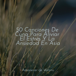 Recuerdos envueltos en un silencio brumoso