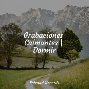 Bañado Por La Luz De La Luna