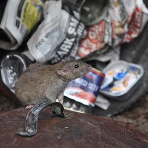 Put Me in the Bin (feat. Charlie Davis)