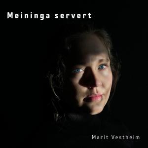 Meininga servert