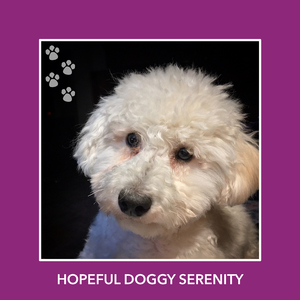 Maximum Doggy Comfort