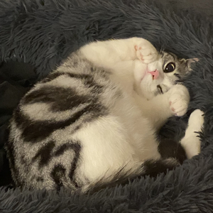 波子汽水