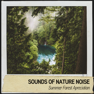 Feels like Rain Again