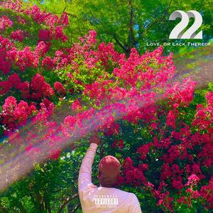 Video Games (feat. Arthentic) (Radio Edit)