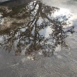 阴天快乐（cover陈奕迅）