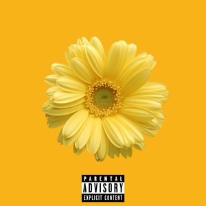 Yellow Flower Emoji