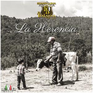 La Herencia