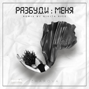 Разбуди меня (Nikita Rise Remix)