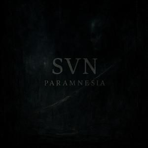 (Act III. The Weight of Distortion) In Ruins of Eternal Dissonance