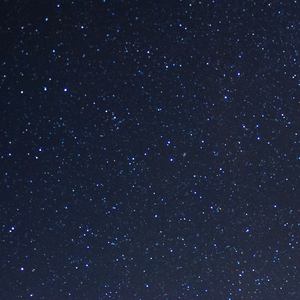 问世间什么最美丽