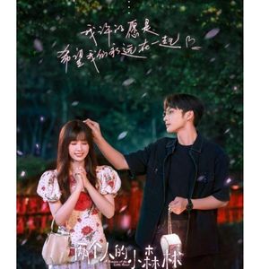 好像都一样 (《两个人的小森林》电视剧片尾曲)