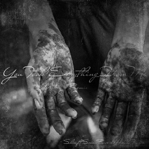 You Took Everything from Me (Remix) [feat. Seann Bowe & Hirano Touzan]