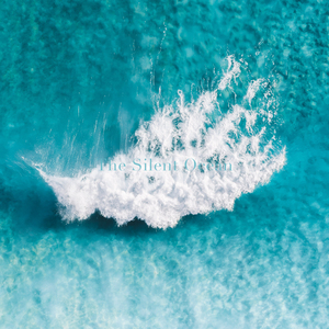 Sea of Colors (Forest)