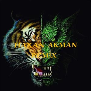 Sezer sarigoz bakma bana öyle Türkçe müzik