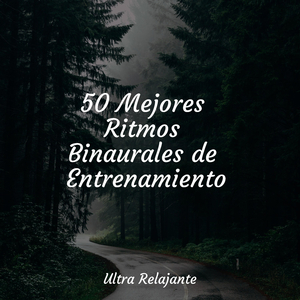 Burbujas En El Tiempo