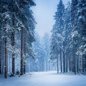 Beneath The Hollowed Mountains