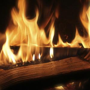 Boss (feat. Prezident)