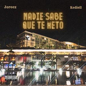 Nadie sabe que te meto (feat. joreez)