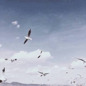 梦话