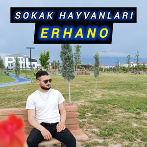 Sokak Hayvanları