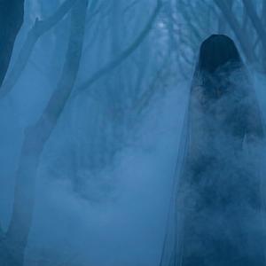 Whispers in the Mist