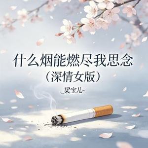 什么烟能燃尽我思念（深情女版）