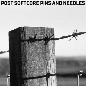 Pins & Needles