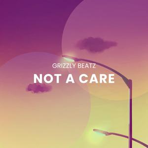 Not A Care (LoFi Instrumental)