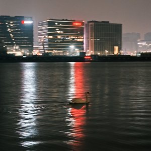 时光止不住的流