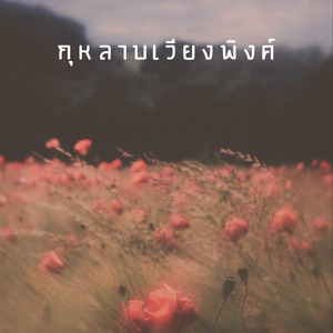 กุหลาบเวียงพิงค์