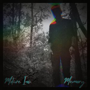 Distorted Reflection