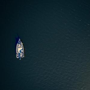 Under the blue