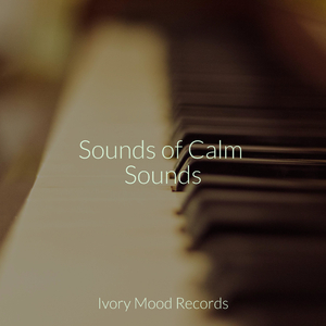 Lost in Wander's Wake