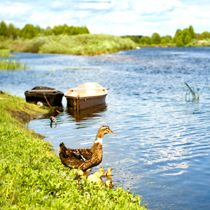 삶의 활력을 주는 힐링 명상피아노