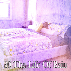 暴风雨前的平静