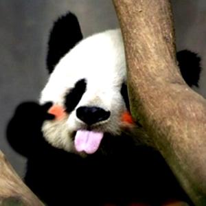 Me & U（Cover 邓福如）