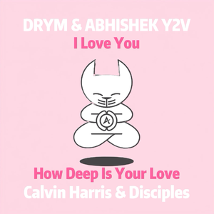 Love You Deeply (Wonderland Mashup)