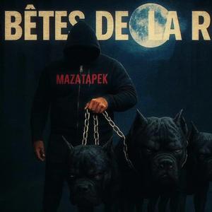 Bêtes de la rue