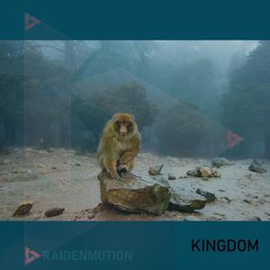 KINGDOM (Cinematic Edition)