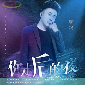 你走后的夜