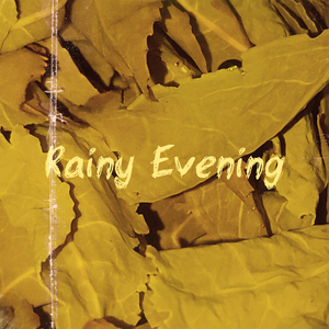 Rainy Evening