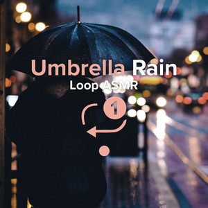 Umbrella Rain Loop Asmr