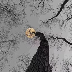 这城市的风总是很大