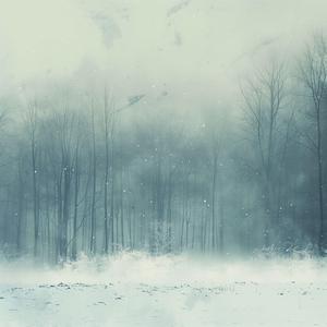 설경(雪景, snowscape)