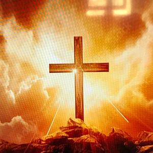 He'd Do It All Again